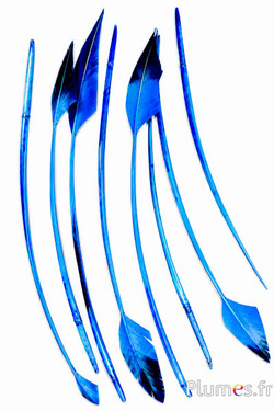 Zwaan pijl - 28-33 cm - turkoois-zwart